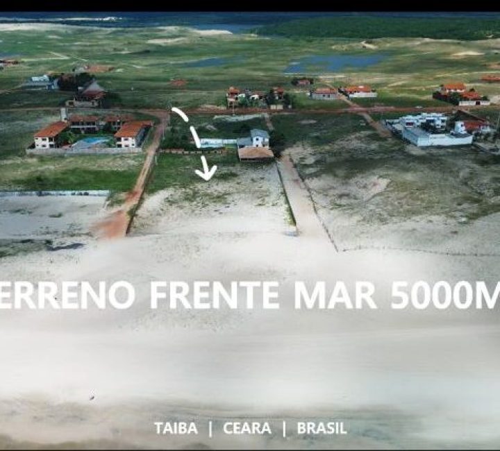 Imagem do WhatsApp de 2025-05-18 à(s) 13.15.17_e1cac1e2